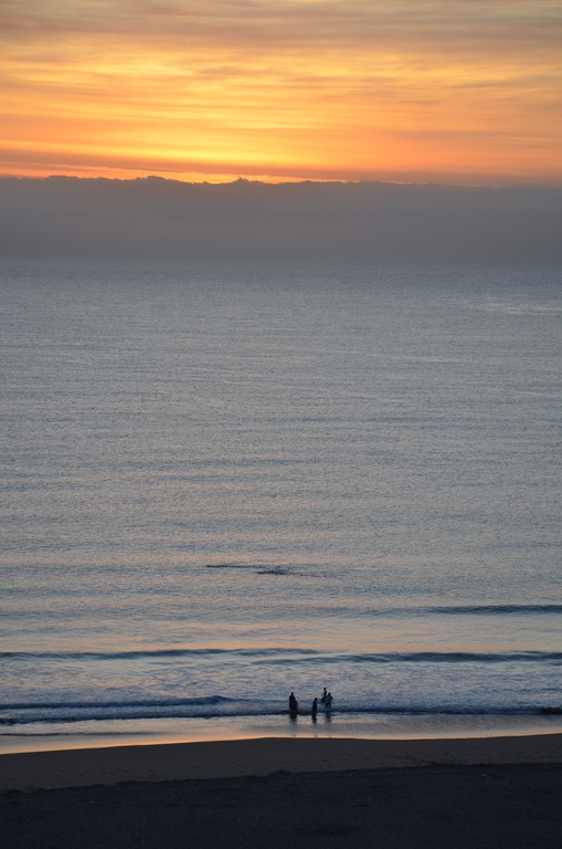2015-05 South Africa/Durban Beach Front/DSC_0255.JPG
